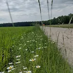 Zielone Zacisze * Wierzchucino