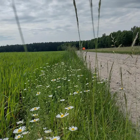 Zielone Zacisze * Wierzchucino