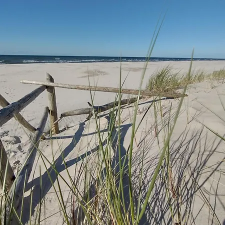 Zielone Zacisze * Wierzchucino