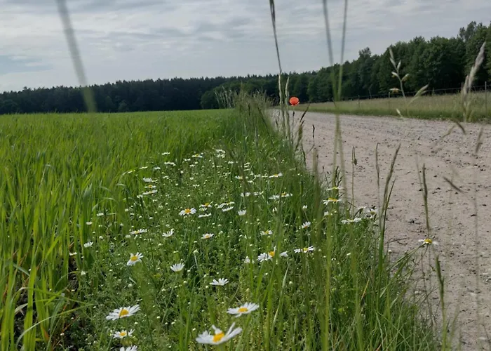 Zielone Zacisze * Wierzchucino