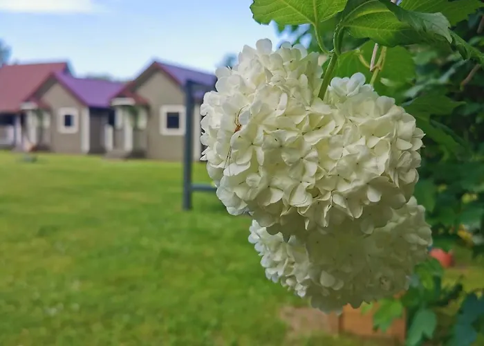 בית נופש Zielone Zacisze