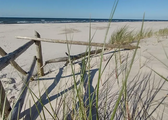 Zielone Zacisze * Wierzchucino